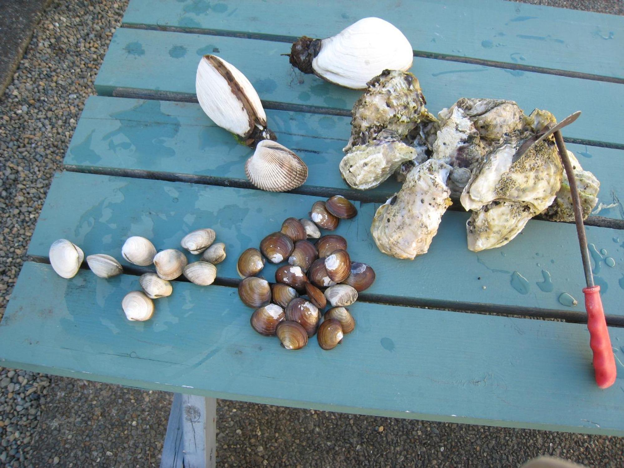 Riverside Resort & Rv Park Qualicum Beach Dış mekan fotoğraf